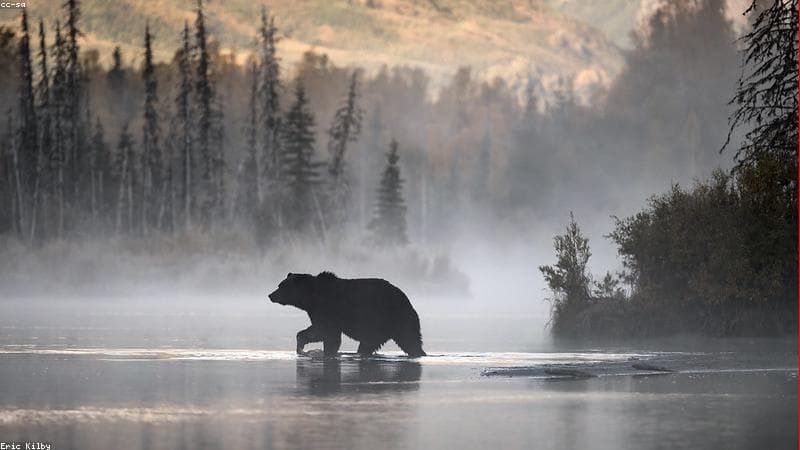 Nascer do sol na cidade